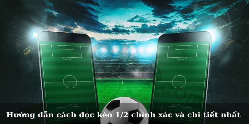 Kèo 1/2 Là Gì? Những Bí Kíp Bắt Kèo Hiệu Quả Cho Tay Cược 2 Hướng dẫn cách đọc kèo 1/2 chính xác và chi tiết nhất